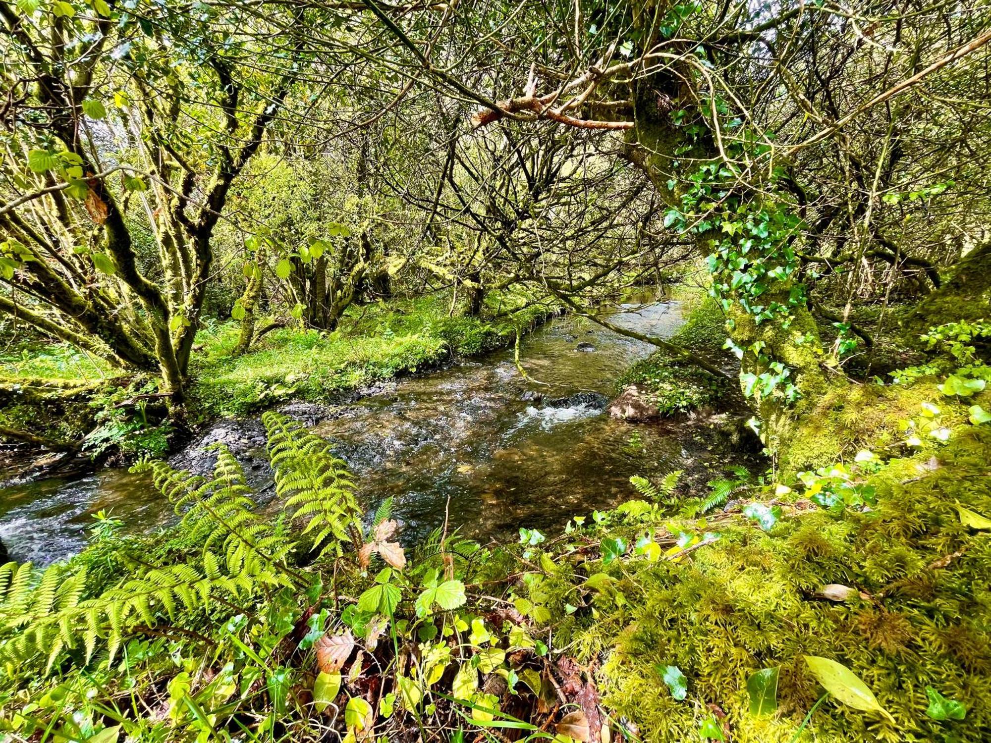 Stepping Stones Glamping Little Red Hotel Bantry Exterior photo
